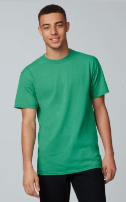 Assorted Brands Tshirt 5 oz., 100% cotton - Adult HD Cotton™ T-Shirt ( 3931or ATCS1000 )