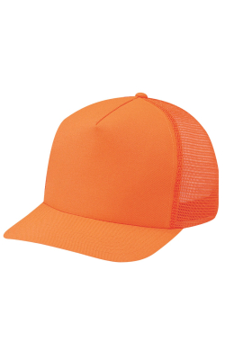 AJM International 8100M - Polyester / Filet en Nylon - 5 Panneaux Traditionnel (Filet Arrière)