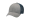 CH/WNV